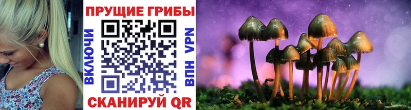 Галлюциногенные грибы GOLDEN TEACHER  KRAKEN зеркало  Суворов 